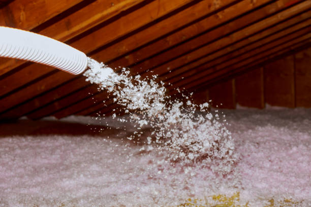 Types of Insulation We Offer in Gilberts, IL