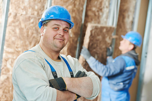 Best Basement Insulation  in Gberts, IL